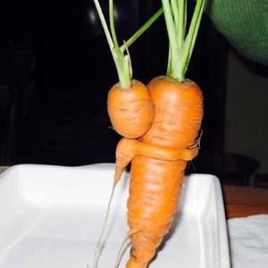 Meet your Posher, Elaine